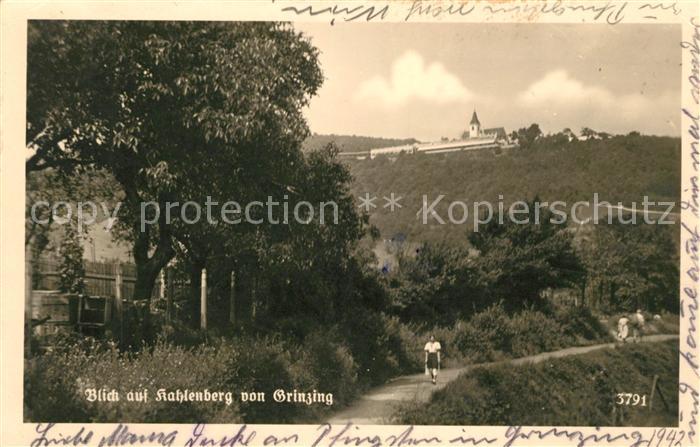 Grinzing Wien Blick auf Kahlenberg
