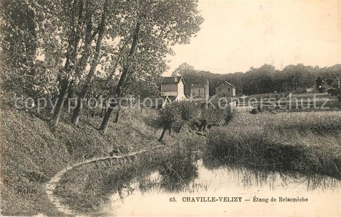 Chaville Etang de Brisemiche