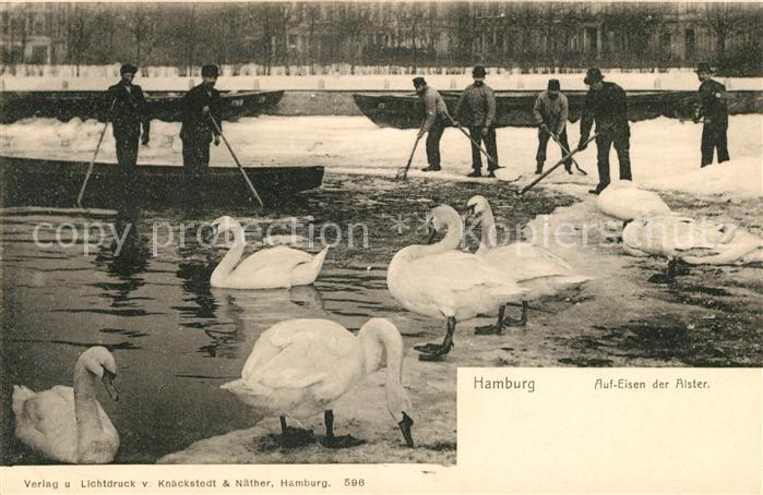HAMBURG  CITY Aufeisen der Alster Schwaene