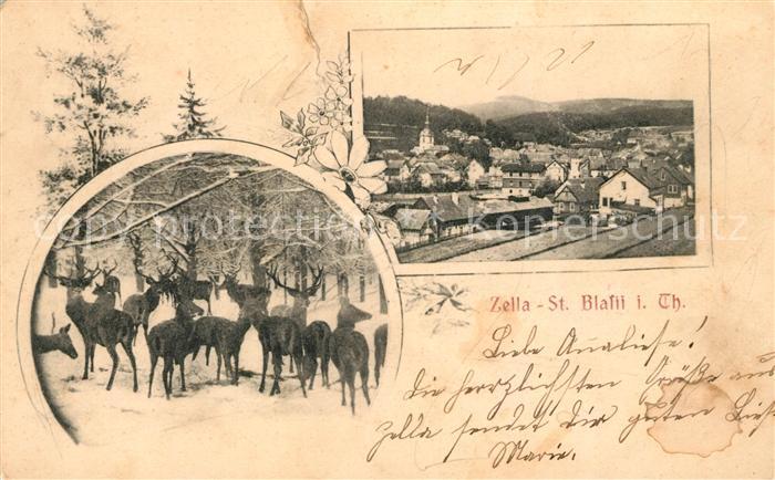 Zella St Blasii Panorama Wild Hirschgruppe