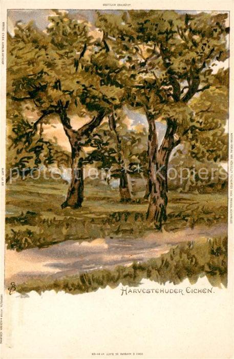 Harvestehude Harvestehuder Eichen Natur Kuenstlerkarte