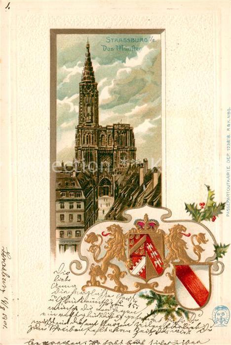 Strassburg Elsass Muenster Wappen Litho