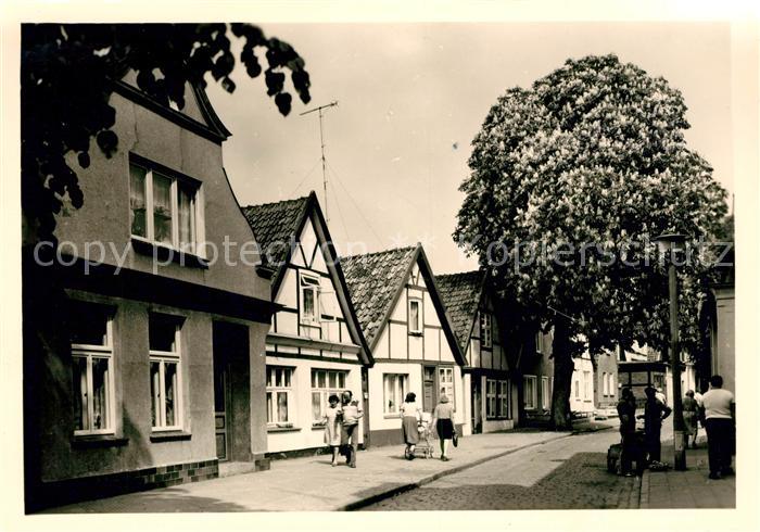 Warnemuende Ostseebad Strassenpartie Alter Kastanienbaum Handabzug