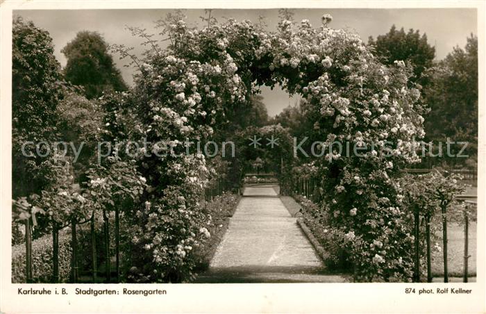 Foto Kellner Rolf Nr. 874 Karlsruhe Stadtgarten Rosengarten