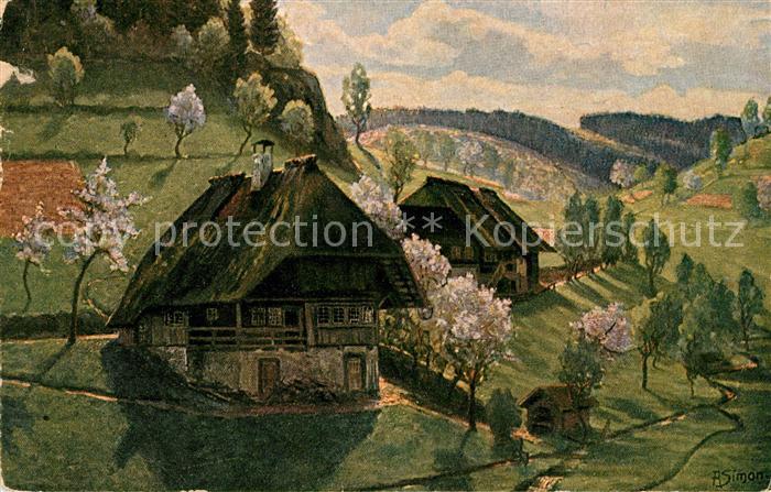 Simon A. Fruehling im Schwarzwald Vormittag in Gutach