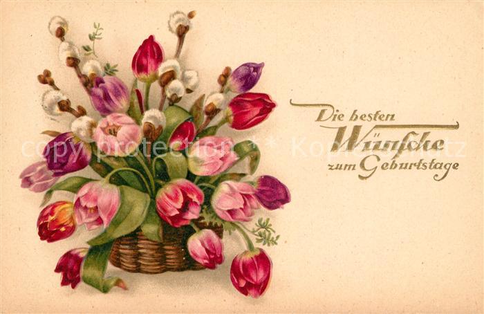Geburtstag Tulpen Weidenkaetzchen Litho