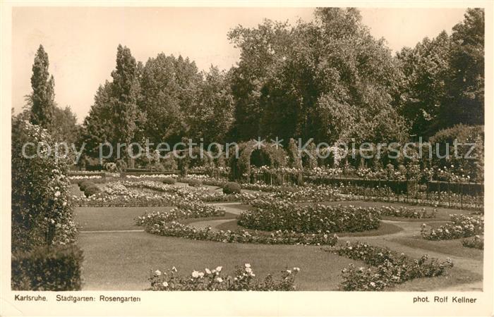 Foto Kellner Rolf Nr. 5571 Karlsruhe Stadtgarten Rosengarten