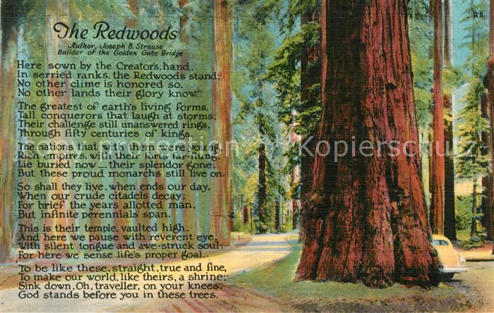 Baeume Trees The Redwoods Gedicht
