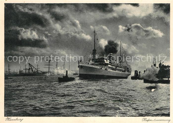 Dampfer Oceanliner Hamburg Hafenstimmung