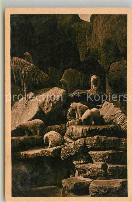 Hagenbeck Tierpark Stellingen-Hamburg Eisbaeren Nordland-Panorama