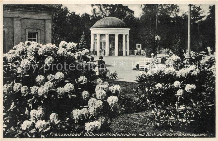 Franzensbad Boehmen Bluehende Rhododendron mit Franzensquelle