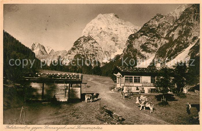 Pertisau Achensee Falzturnalpe mit Sonnenjoch und Lamsenspitze