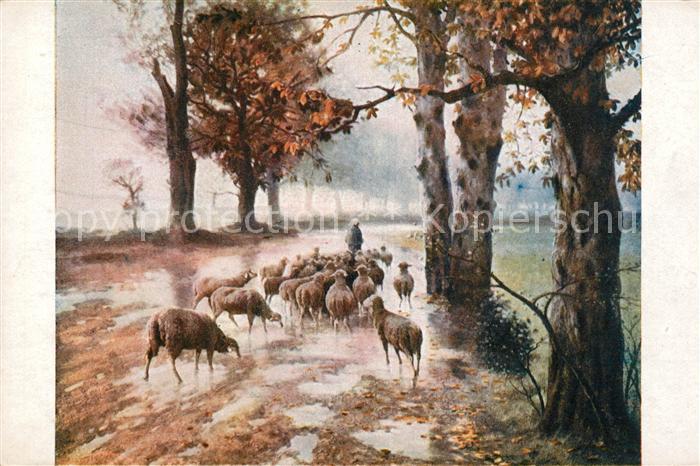 Kuenstlerkarte A. Kaufman Holländisches Motiv Schafe H