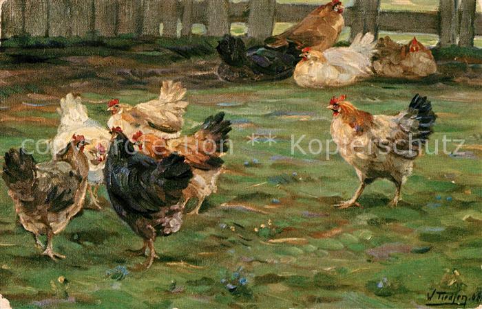 Gefluegel Hühner Hahn Künstlerkarte W. Tiedjrn