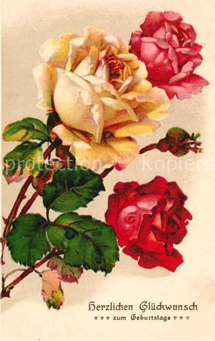 Rosen Geburtstag Litho