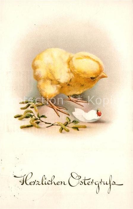 Ostern Easter Paques Küken Marienkäfer Litho