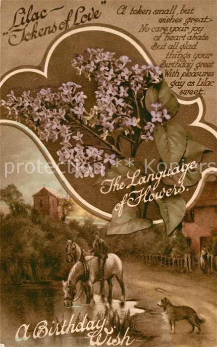 Blumen Blumensprache Flieder Gedicht Geburtsta