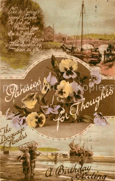 Blumen Stiefmütterchen Blumensprache Geburtsta