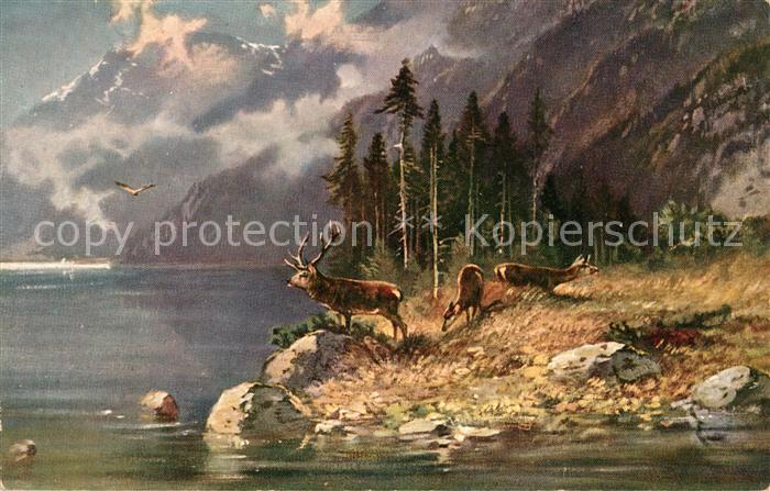 Hirsch Künstlerkarte Natur See