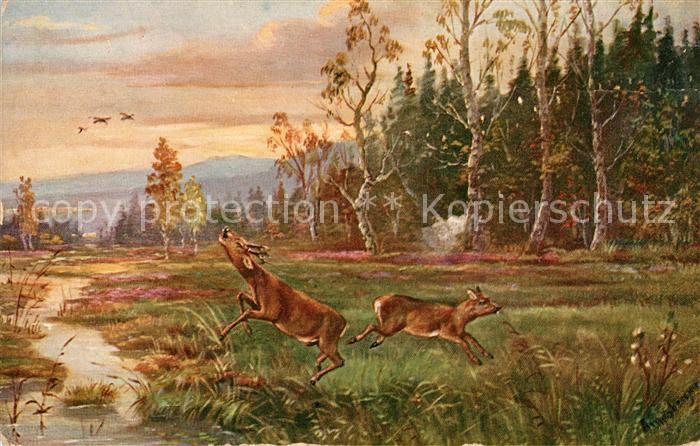 Hirsch Künstlerkarte