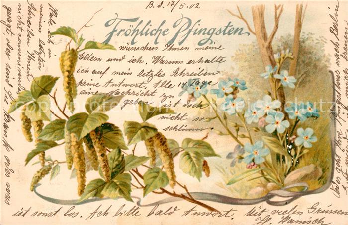 Pfingsten Pentecost Pentecote Vergissmeinnicht Litho