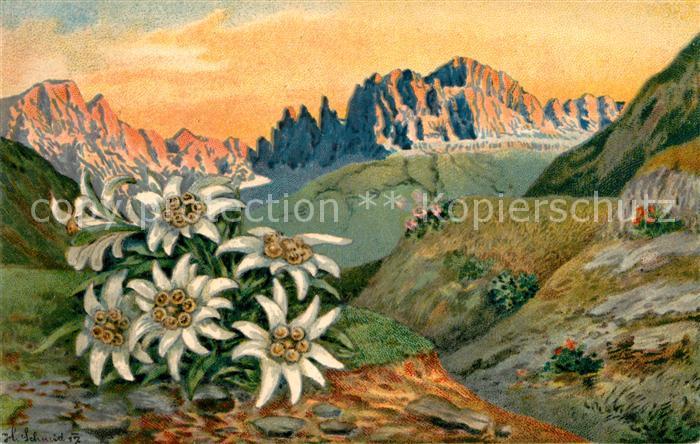Edelweiss Litho