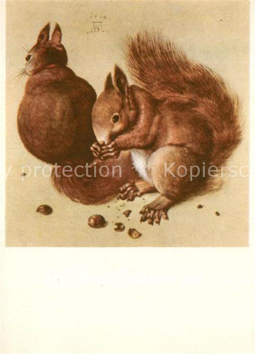Duerer Albrecht Nuernberg Eichhörnchen