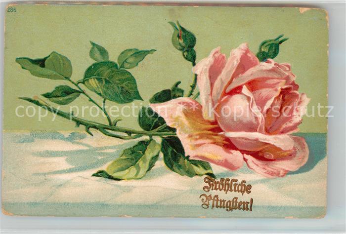 Pfingsten Pentecost Pentecote Rose Litho