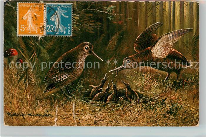 Kuenstlerkarte Müller Junior Vögel