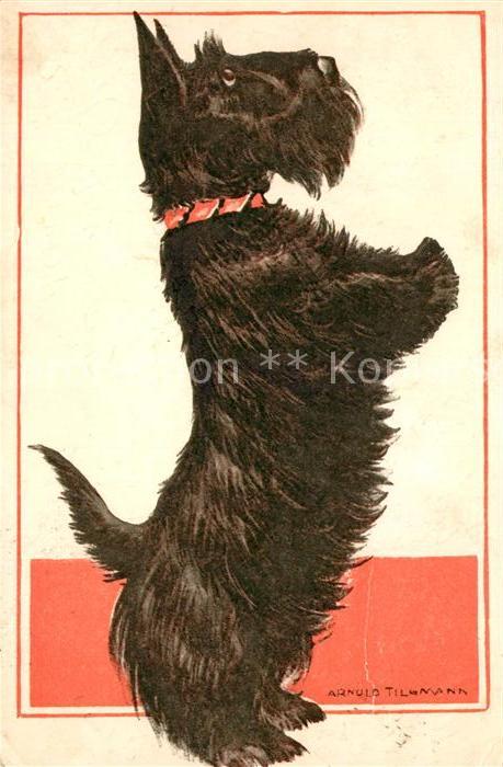 Hunde Kuenstlerkarte Arnuld Tillmann
