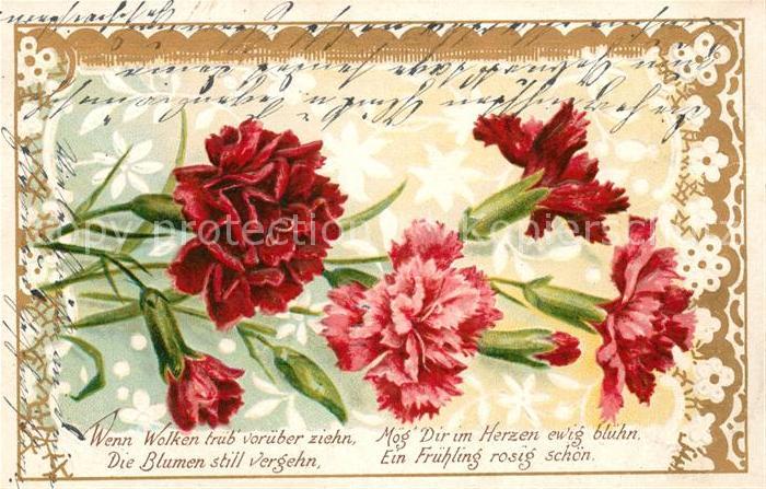 Blumen Nelken Gedicht Litho
