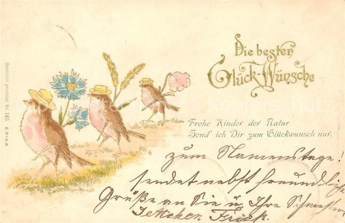 Vermenschlicht Vögel Glückwunsch