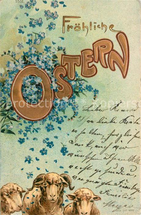 Ostern Easter Paques Schafe Vergissmeinnicht Litho