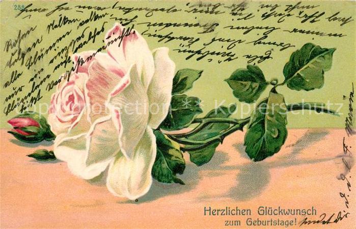 Geburtstag Rose Litho