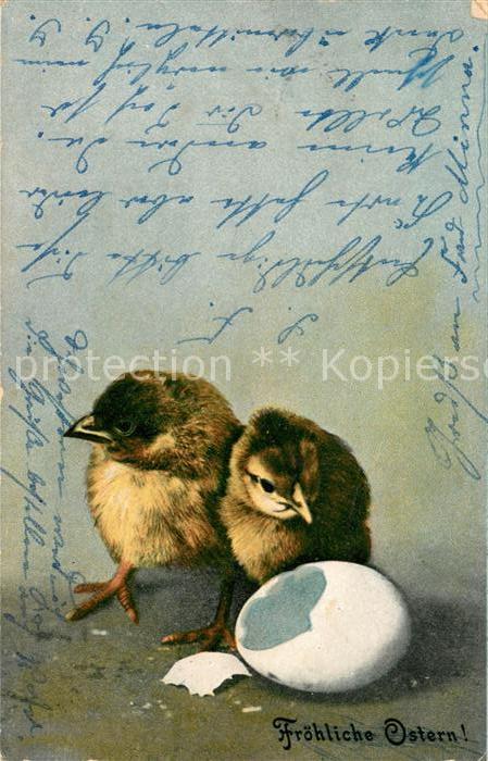 Ostern Easter Paques Kueken Ei