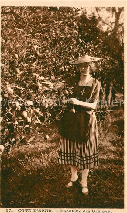 Ernte Landwirtschaft Cueillette des Oranges Cote d_Azur