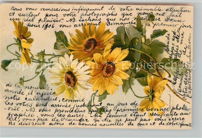 Blumen Sonnenblumen Litho