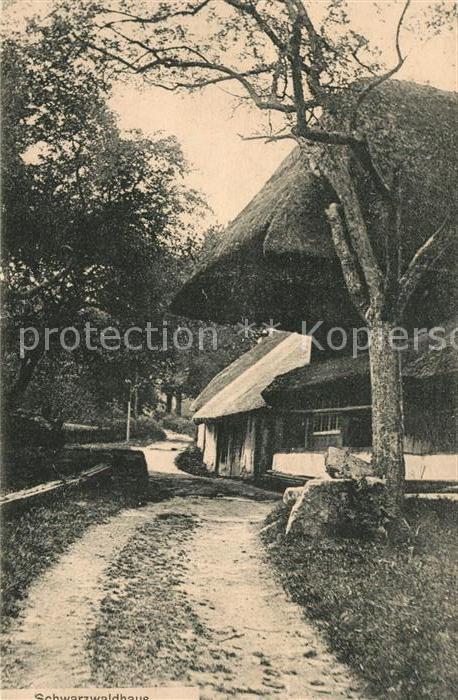 Schwarzwald Altes Schwarzwaldhaus