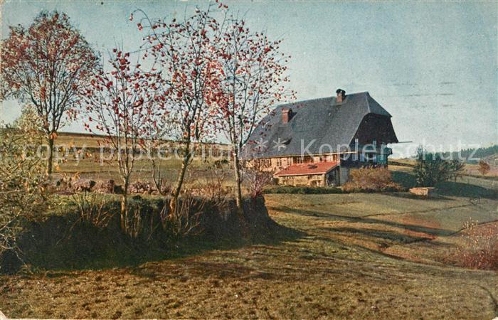 Schwarzwald Bauernhaus