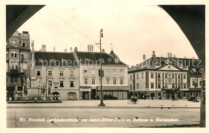 Wiener Neustadt Laubendurchblich am AH Platz mit Rathaus und Mariensaeule
