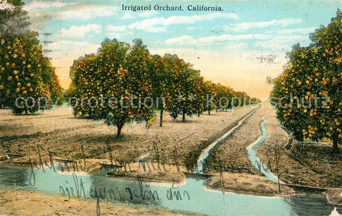 Los Angeles California Irrigated Orchard