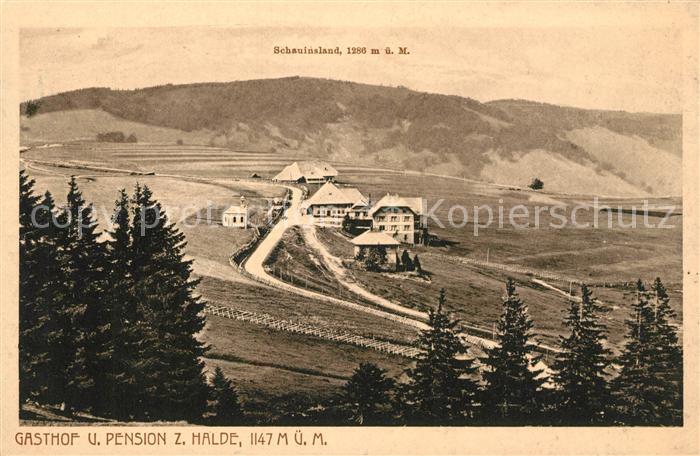 Schauinsland Gasthof Pension zur Halde