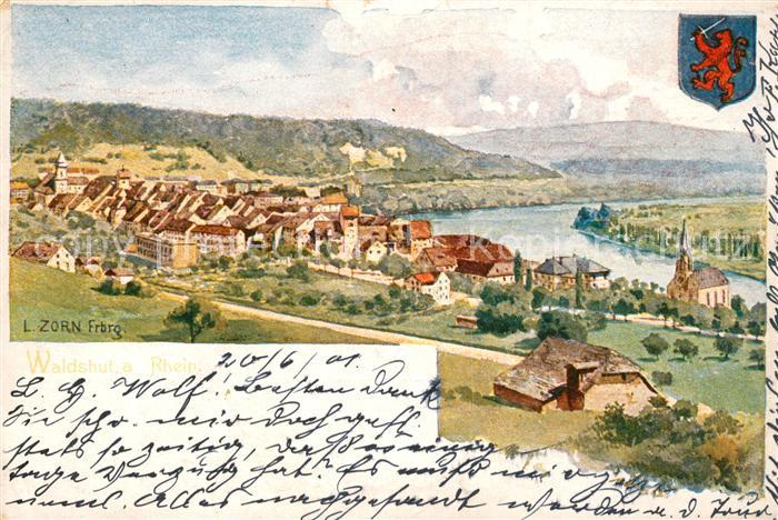 Waldshut-Tiengen Panorama K?nstler Zorn