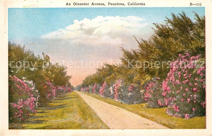 Pasadena California An Oleander Avenue