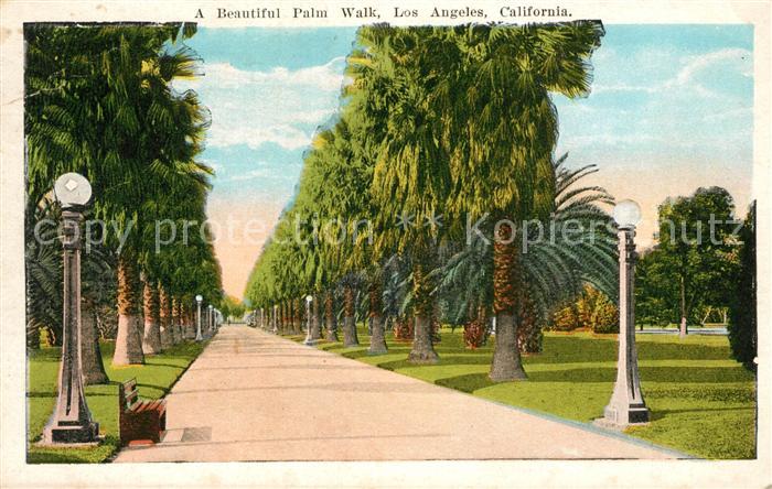 Los Angeles California A Beautiful Palm Walk