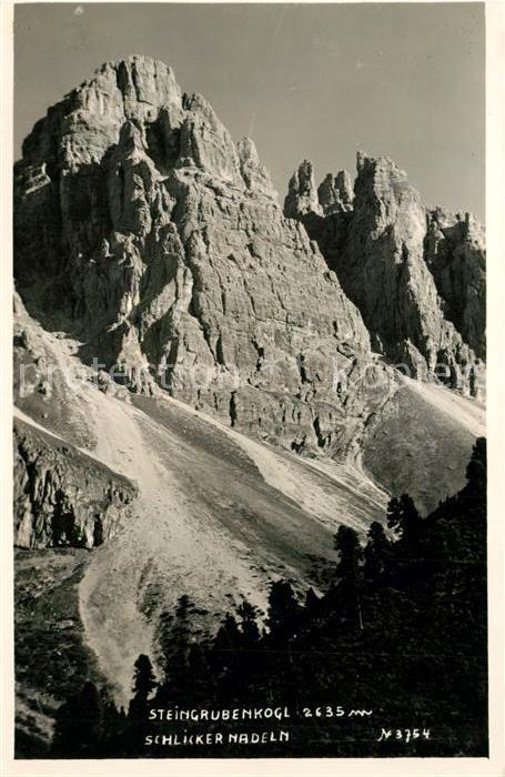 Woergl Tirol Steingrubenkogl Schlicker Nadeln