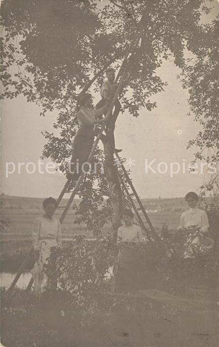 Giengen Brenz Apfelernte