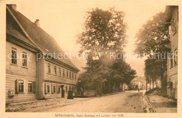 Wildemann Harz Goslar Niedersachsen Hotel Rathaus mit Linden