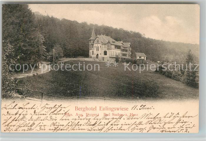 Bad Sachsa Harz Berghotel Eulingswiese