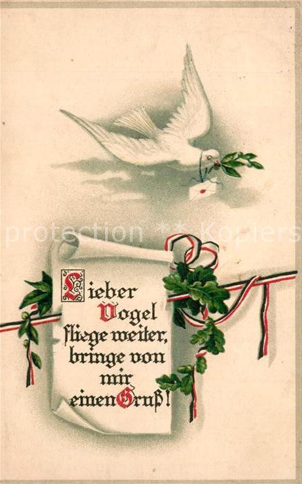 Schwarz Weiss Rot Brieftaube Litho